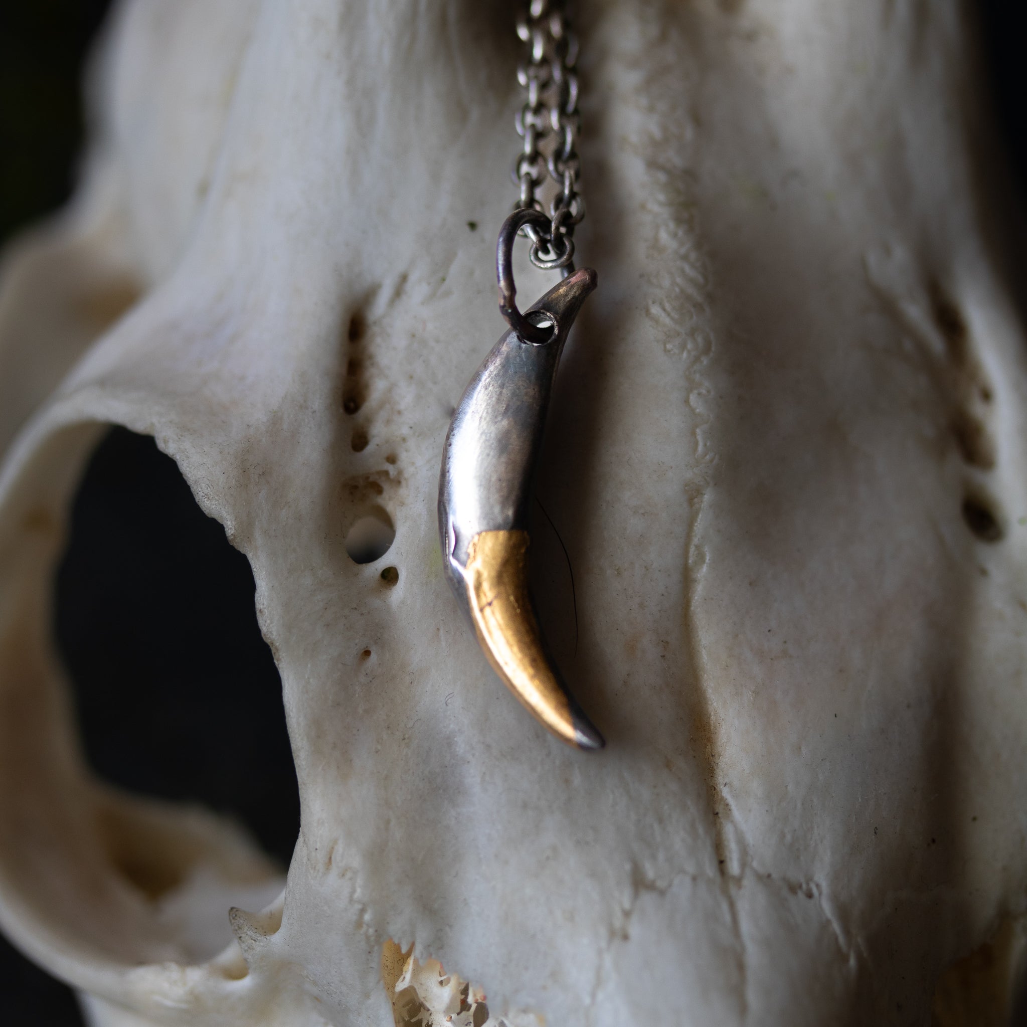 Fox Fang Pendent - Machinations