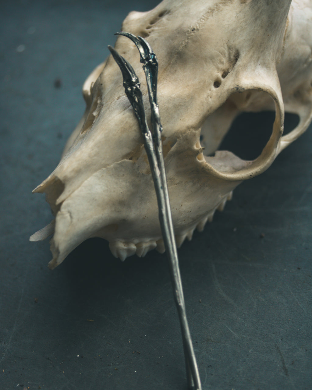 White Brass Fish Bone  6 Inch Hair Pins: Viking Elegance with a Touch of the Macabre