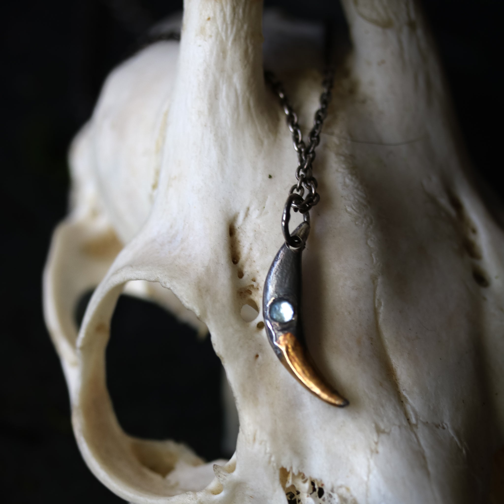 Fox Fang with Aquamarine Pendent - Machinations