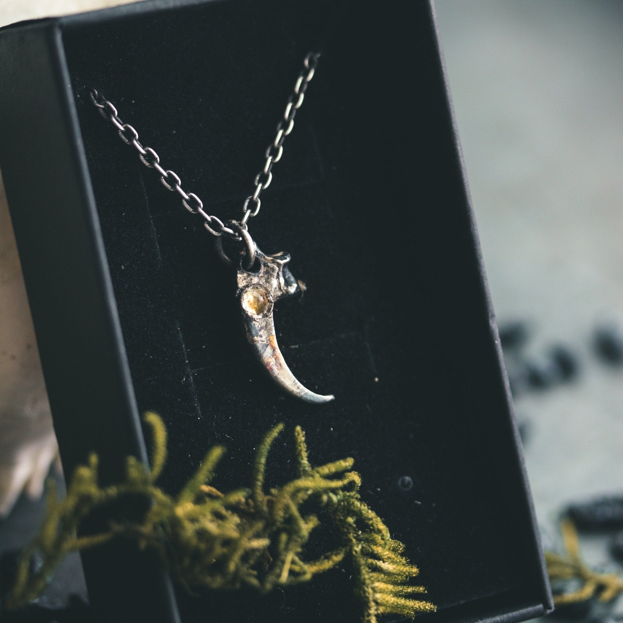 Peregrine Falcon Talon with Citrine rose - cut - Machinations