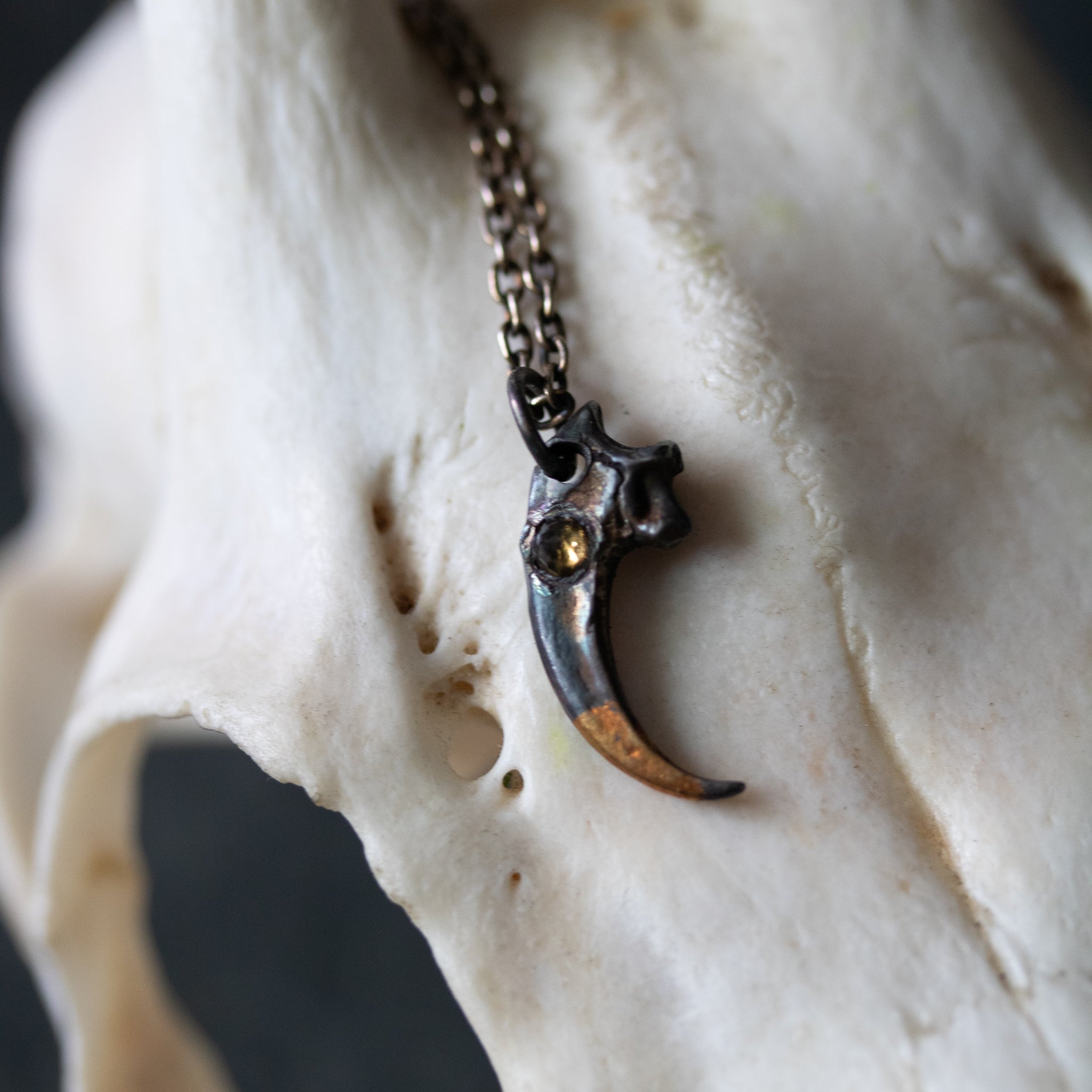 Peregrine Falcon Talon with Citrine Rose cut - Machinations