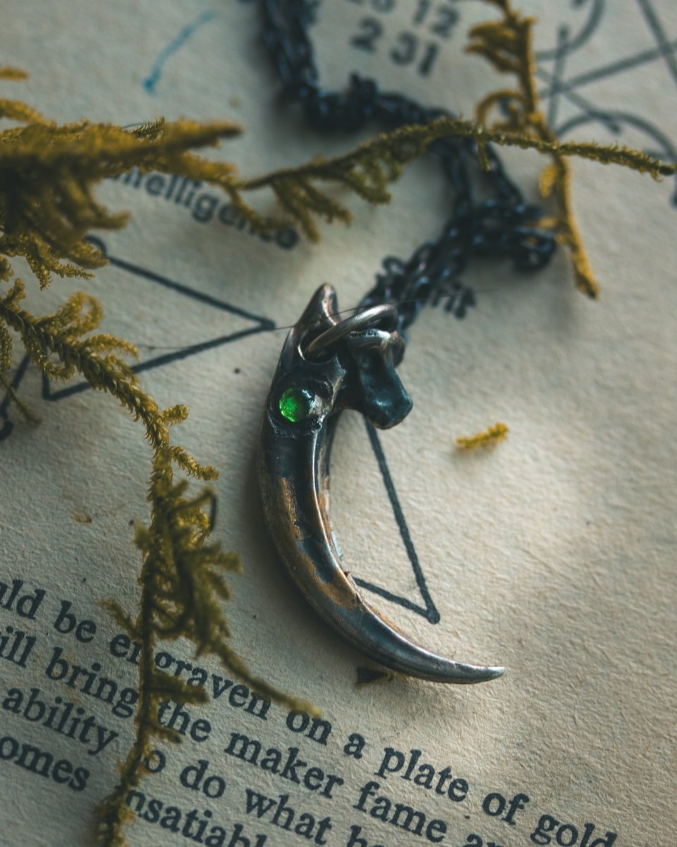 Raven Claw Pendant with Rare Tsavorite Garnet – Sterling Silver | Talisman of Shadow, Insight, and Fierce Protection Only 1 Available – Ready to Ship - Machinations