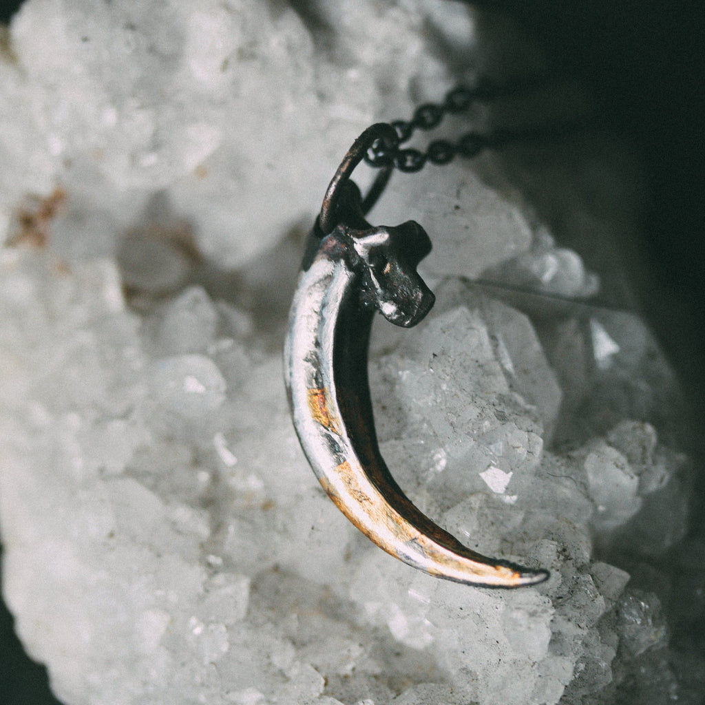 Raven Talon - Machinations