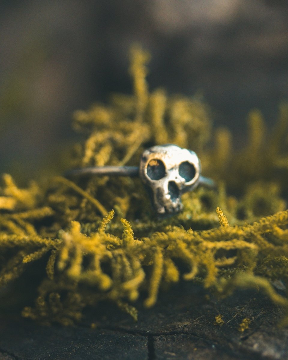 Skull Stacking Ring: A Symbol of Mortality, Strength, and Transformation - Machinations