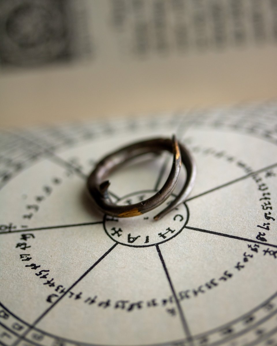 Thorn Ring: Emblem of Beauty and Resilience - Machinations