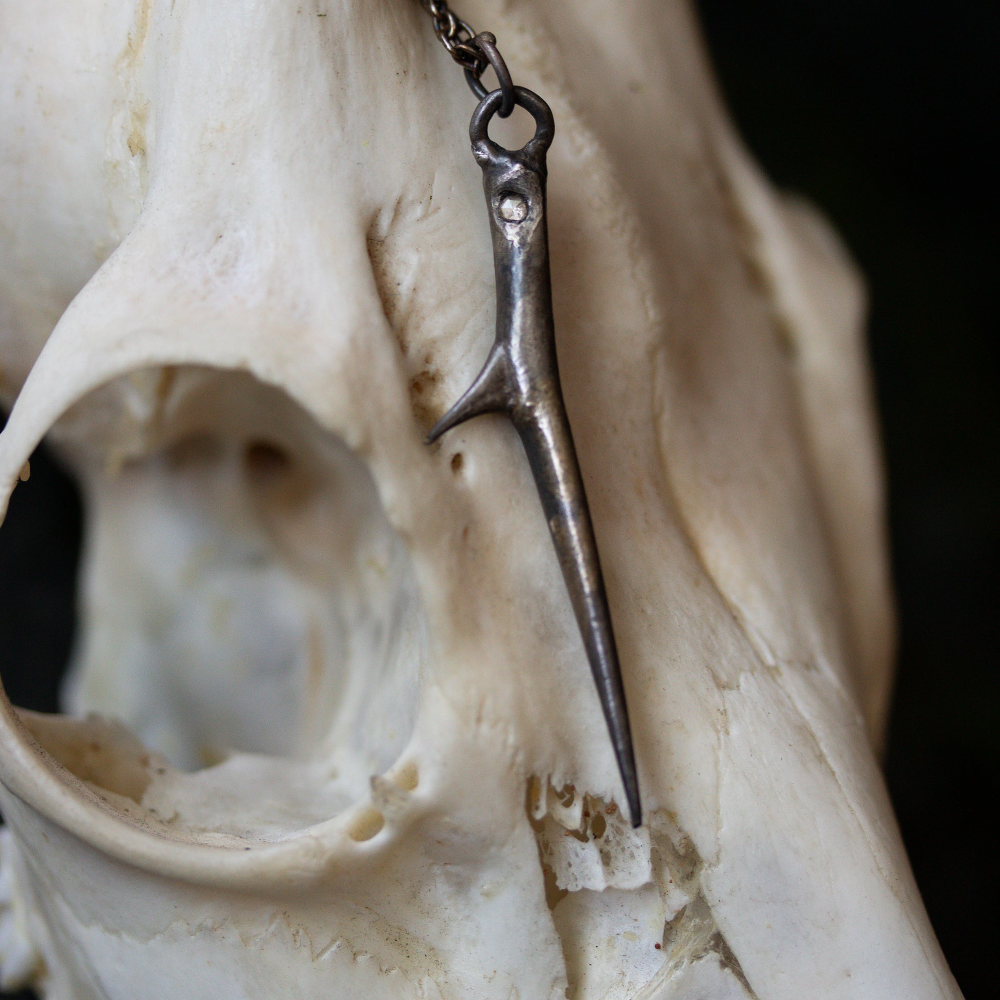 Thorn with White Rose Cut - Machinations