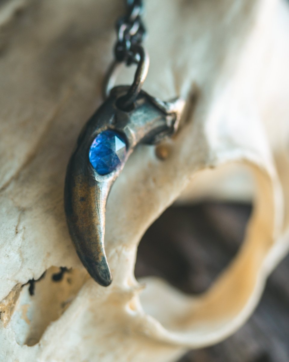 Wolf Claw Pendant with Tanzanite: Symbol of Guardianship, Transformation, and Higher Consciousness - Machinations